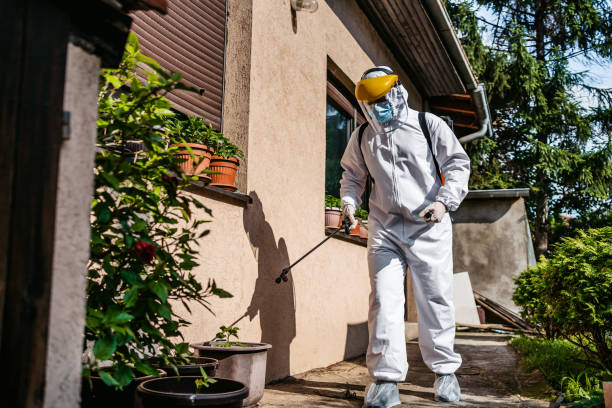 Best Flea Control Services  in Eustis, FL