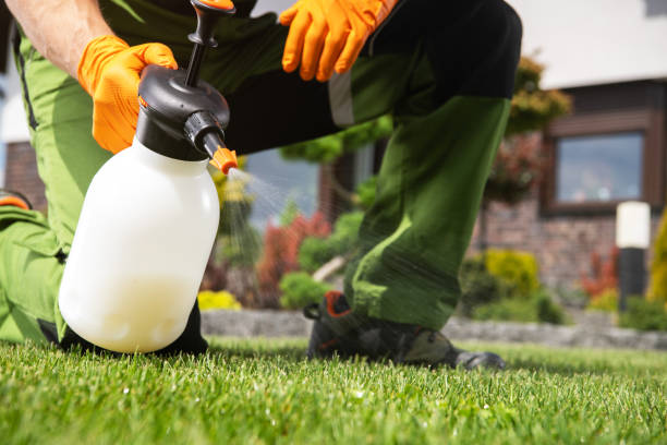  Eustis, FL Pest Control Pros