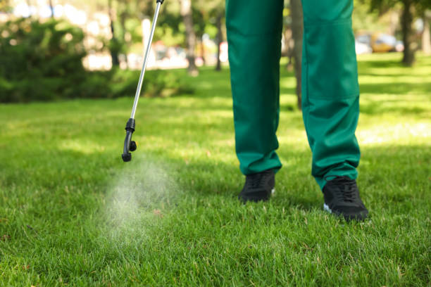Best Ant Control Services  in Eustis, FL