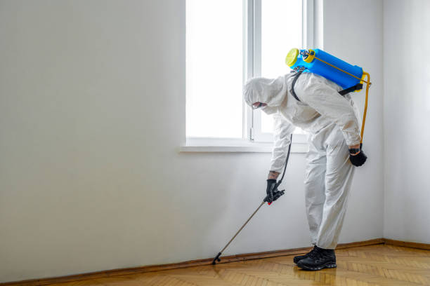 Best Emergency Pest Control  in Eustis, FL