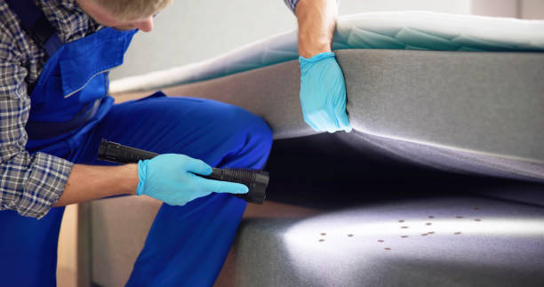 Best Best Pest Control Companies  in Eustis, FL