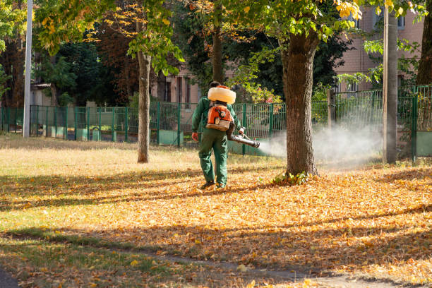 Best Spider Control Near Me  in Eustis, FL