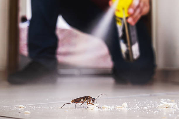 Best Residential Pest Control  in Eustis, FL