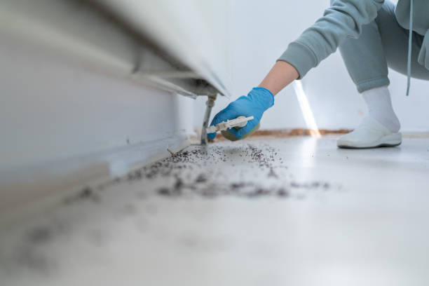 Eustis, FL Pest Control Company