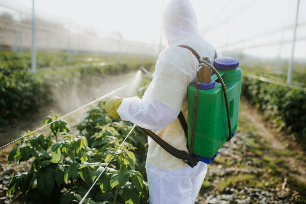 Best Pest Control for Businesses  in Eustis, FL